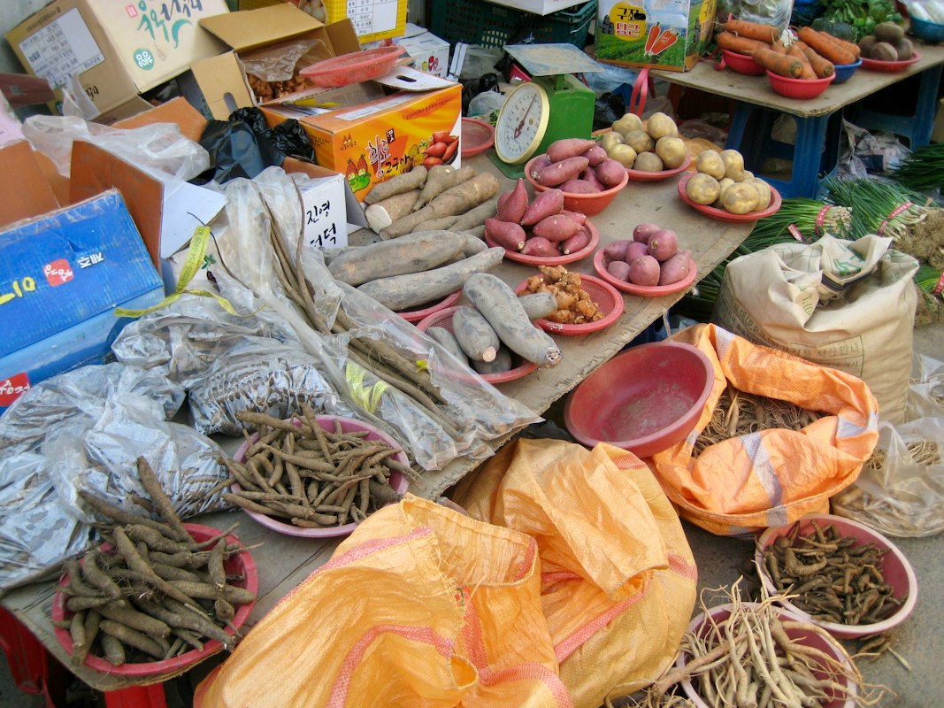 Rote Ginseng